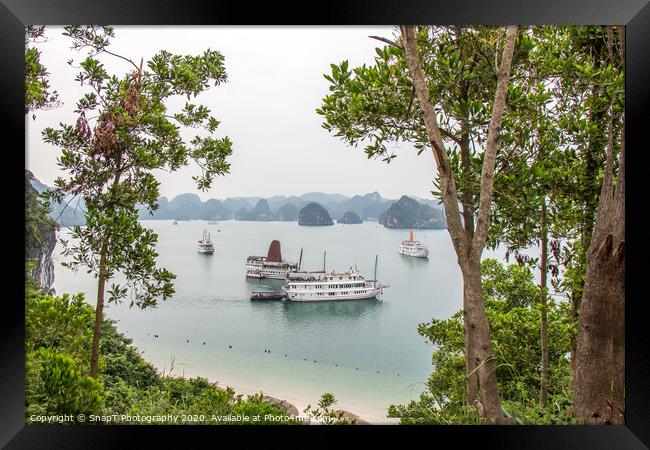 A beautiful view of junk boats in Ha Long Bay through trees Framed Print by SnapT Photography