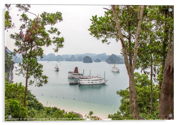 A beautiful view of junk boats in Ha Long Bay through trees Acrylic by SnapT Photography