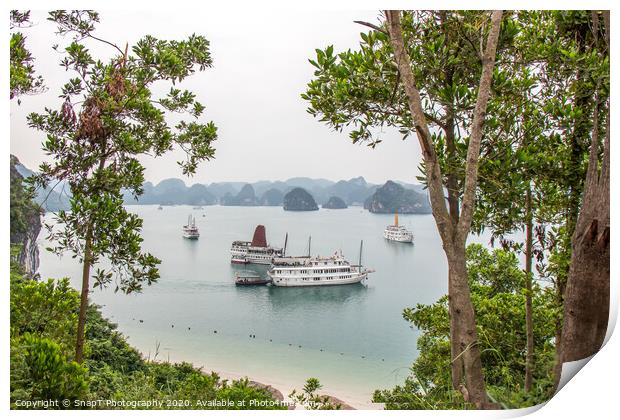 A beautiful view of junk boats in Ha Long Bay through trees Print by SnapT Photography