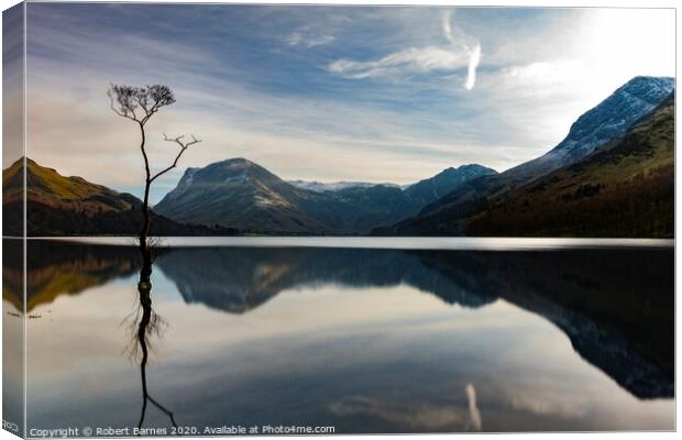 "The Lone Tree"  at Buttermere Lake Canvas Print by Lrd Robert Barnes