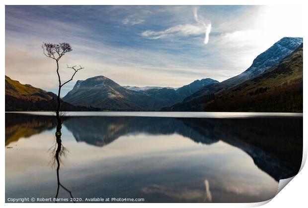 "The Lone Tree"  at Buttermere Lake Print by Lrd Robert Barnes