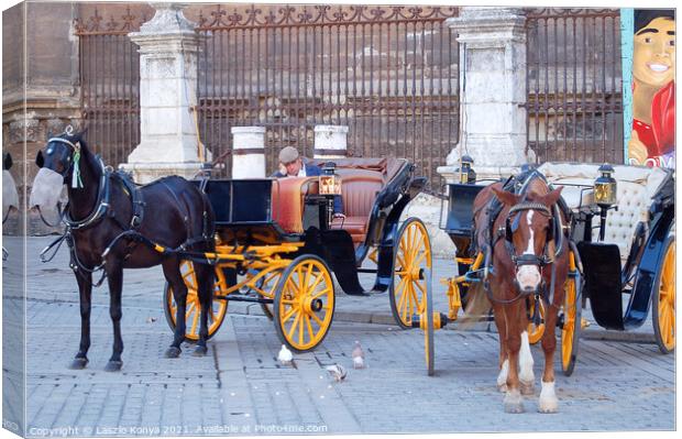 Horse Carriage Driver - Seville  Canvas Print by Laszlo Konya