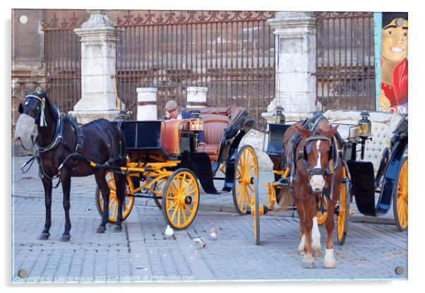 Horse Carriage Driver - Seville  Acrylic by Laszlo Konya