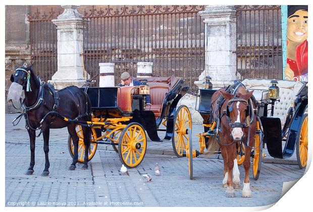 Horse Carriage Driver - Seville  Print by Laszlo Konya