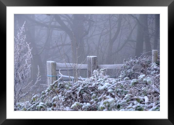 Frosty foggy morning Framed Mounted Print by Angela Redrupp