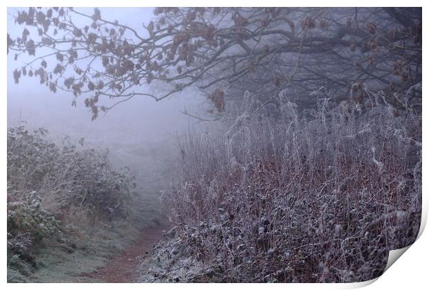 Walk through in the misty, frosty morning Print by Angela Redrupp