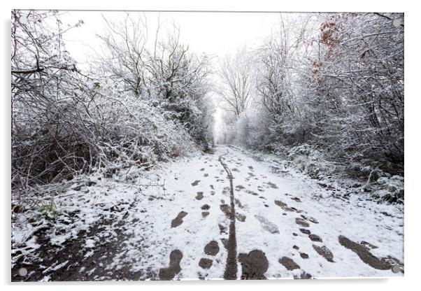 Snow path a Elton Reservoir Bury Acrylic by Jonathan Thirkell