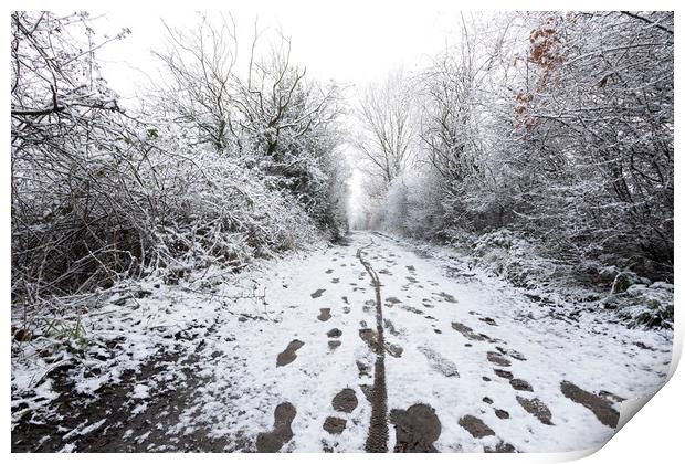 Snow path a Elton Reservoir Bury Print by Jonathan Thirkell