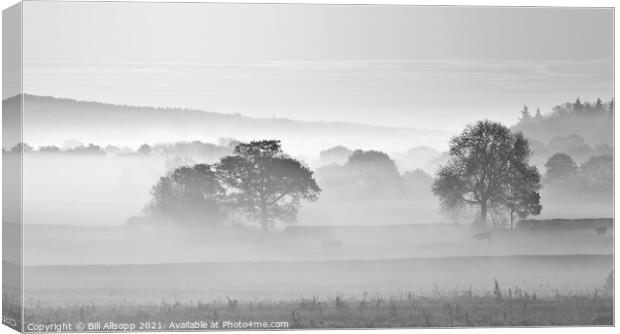 Cows in the mist #2 Canvas Print by Bill Allsopp