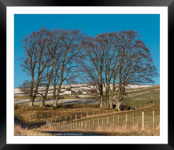 Ash Dub Farm from Dirt Pit, Ettersgill, Teesdale Framed Mounted Print by Richard Laidler