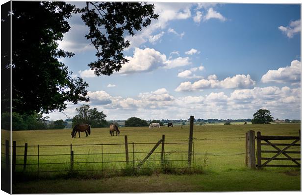 Our green and pleasant land Canvas Print by Terry Pearce