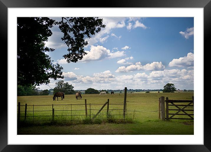 Our green and pleasant land Framed Mounted Print by Terry Pearce