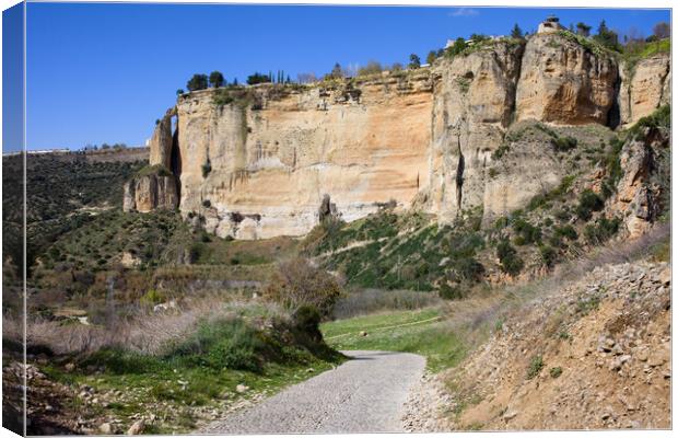 Andalusia Landscape in Spain Canvas Print by Artur Bogacki