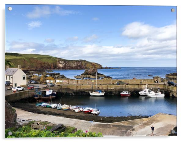 Beautiful day at St Abbs Acrylic by Naylor's Photography