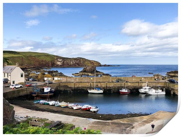 Beautiful day at St Abbs Print by Naylor's Photography