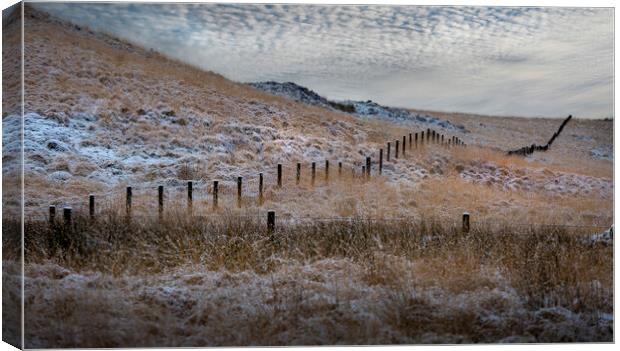 Snow capped posts in Penwyllt Canvas Print by Leighton Collins