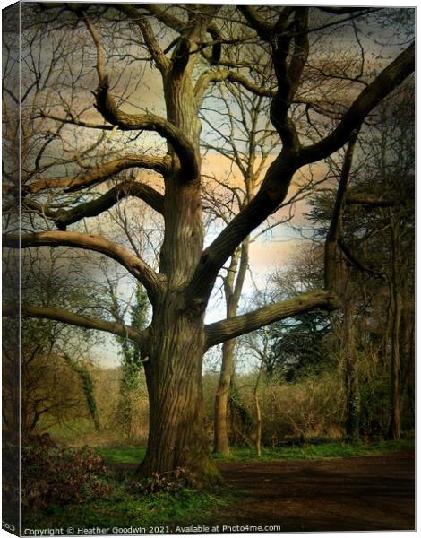 Mighty Chestnut Canvas Print by Heather Goodwin