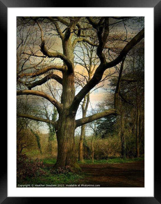 Mighty Chestnut Framed Mounted Print by Heather Goodwin