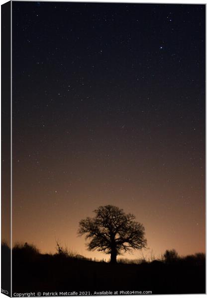 Lonely Tree at Night Canvas Print by Patrick Metcalfe