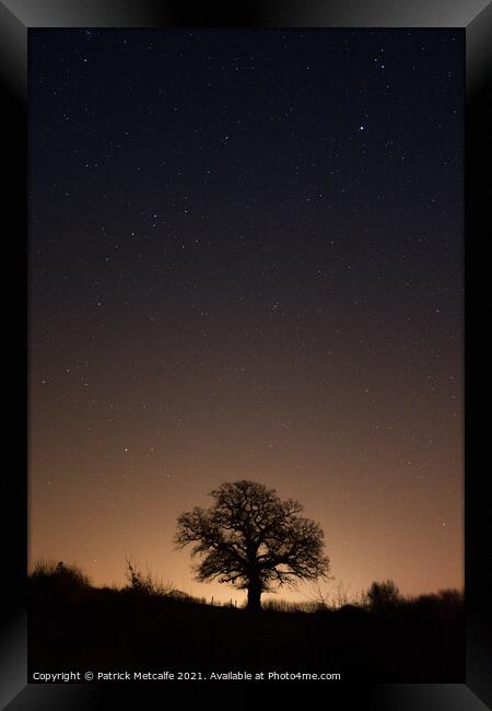 Lonely Tree at Night Framed Print by Patrick Metcalfe