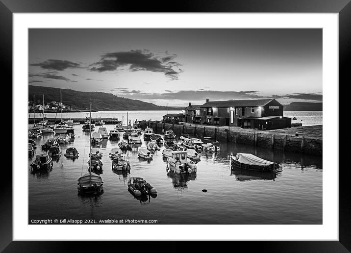 Lyme Regis harbour. Framed Mounted Print by Bill Allsopp