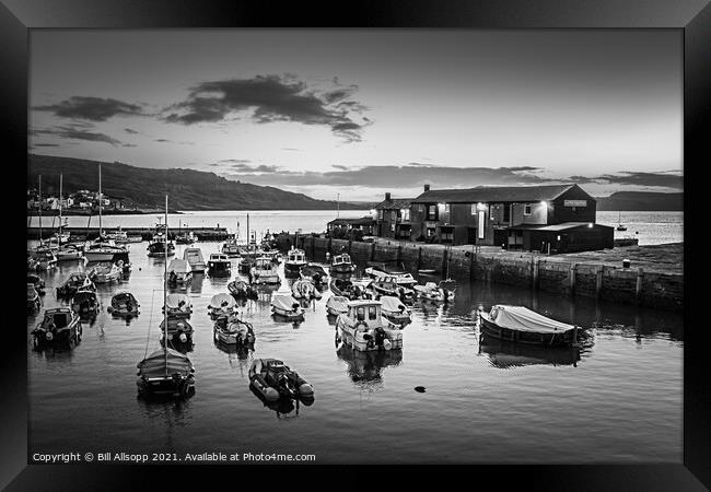 Lyme Regis harbour. Framed Print by Bill Allsopp