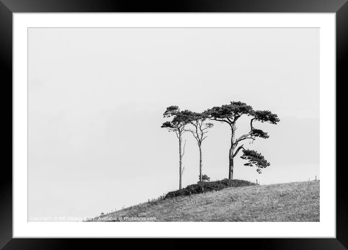 Three on a hill. Framed Mounted Print by Bill Allsopp