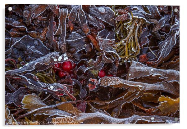 Frosted seaweed Acrylic by Bill Allsopp