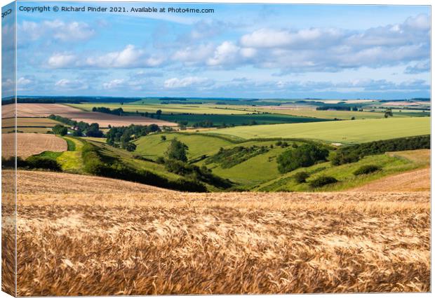 The Great Wold Valley. Yorkshire Wolds Canvas Print by Richard Pinder