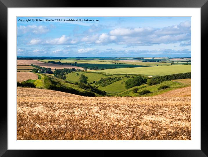The Great Wold Valley. Yorkshire Wolds Framed Mounted Print by Richard Pinder