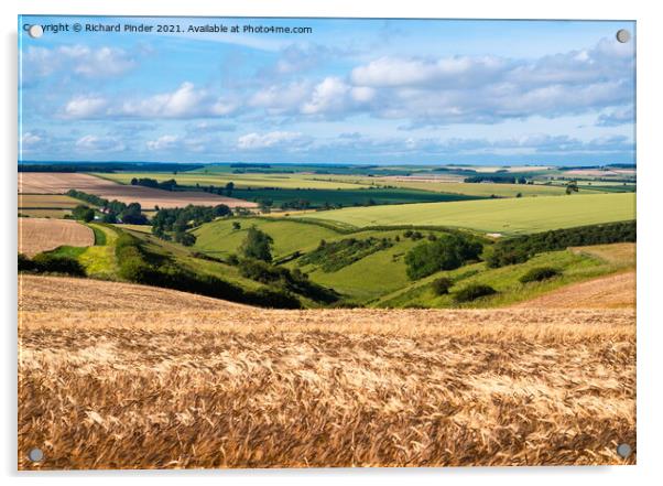 The Great Wold Valley. Yorkshire Wolds Acrylic by Richard Pinder