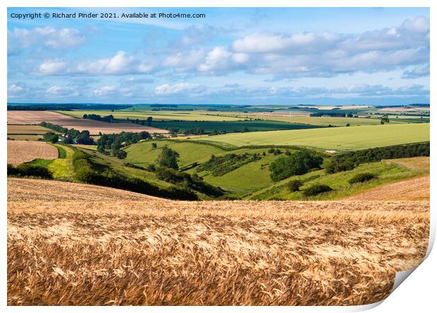 The Great Wold Valley. Yorkshire Wolds Print by Richard Pinder
