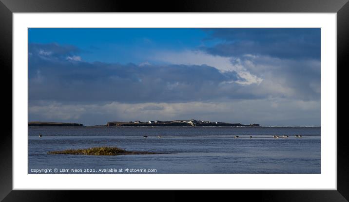 For The Birds, Hilbre Island Framed Mounted Print by Liam Neon