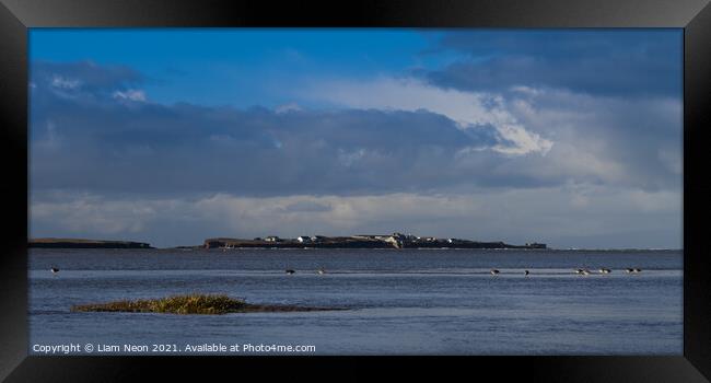 For The Birds, Hilbre Island Framed Print by Liam Neon