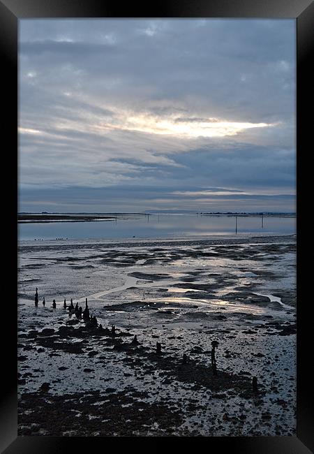 Chichester harbour low water Framed Print by richard jones