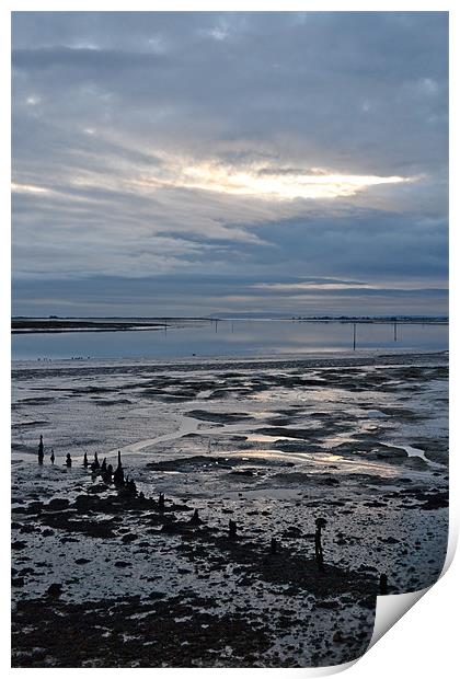 Chichester harbour low water Print by richard jones