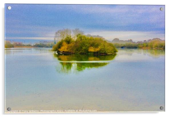 A bird island  Acrylic by Tony Williams. Photography email tony-williams53@sky.com
