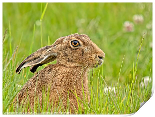 Hare  Print by Vicky Outen