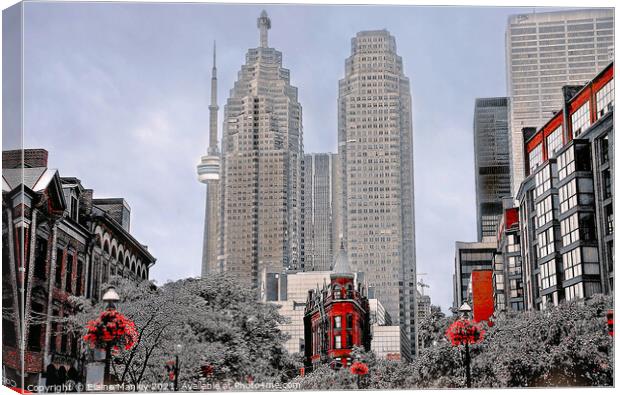 Downtown Toronto  Canvas Print by Elaine Manley