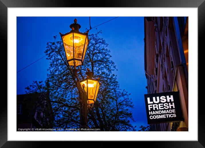 Lush fresh Dusseldorf city Germany. Framed Mounted Print by Vitalii Kryvolapov