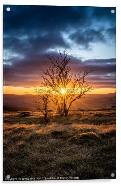 sun beam tree Acrylic by Jonny Gios