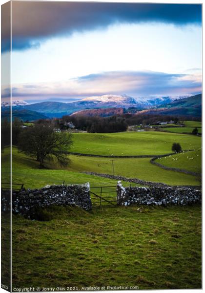 Kendal Fell looking to the Langdales Canvas Print by Jonny Gios