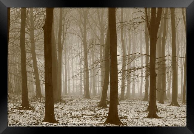  Winter woodland, Framed Print by Simon Johnson