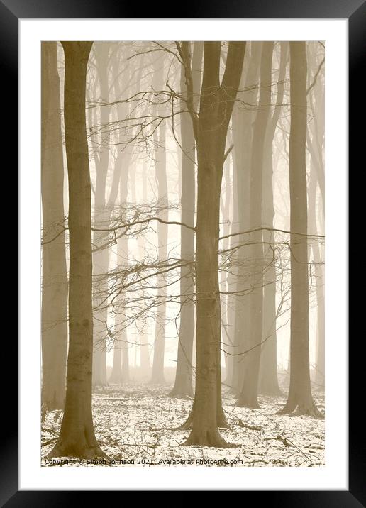 Woodland mist Framed Mounted Print by Simon Johnson