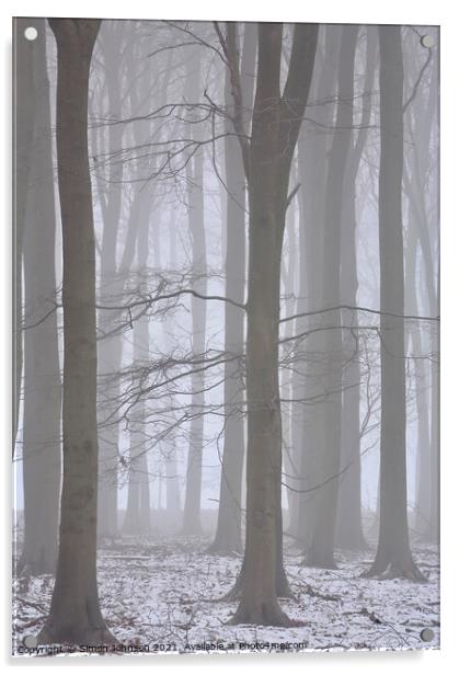 woodland mist Acrylic by Simon Johnson