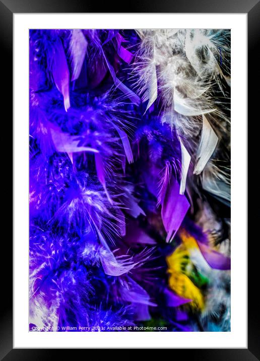 Colorful Feathers Necklaces Mardi Gras New Orleans Louisiana Framed Mounted Print by William Perry