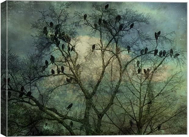 The Birds Canvas Print by Anne Christie