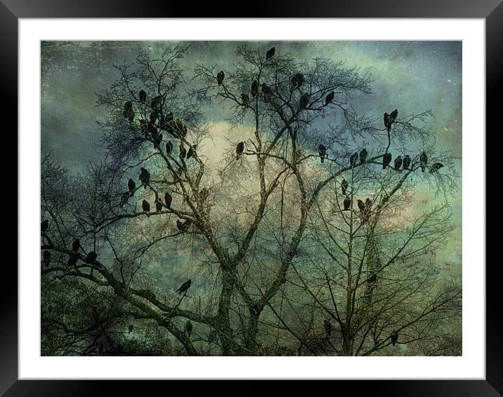 The Birds Framed Mounted Print by Anne Christie
