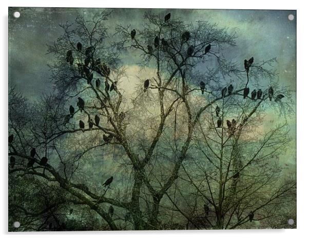 The Birds Acrylic by Anne Christie
