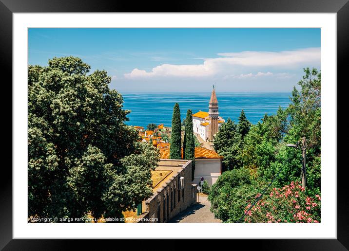 Piran old town and Adriatic sea Framed Mounted Print by Sanga Park